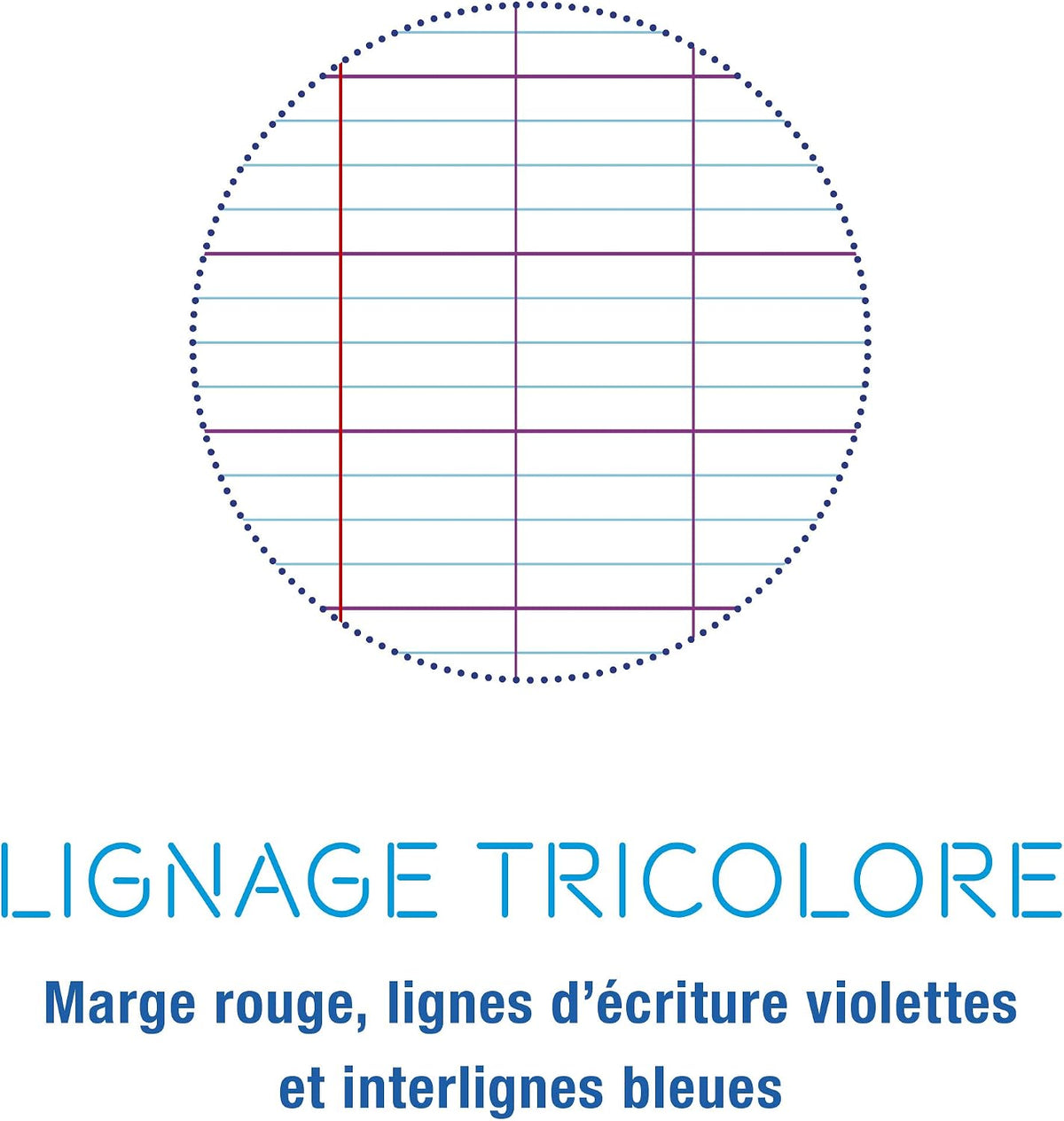 Cahier Mimesys seyès assortis polypro agrafé 48 pages (17 x 22 cm) - CLAIREFONTAINE