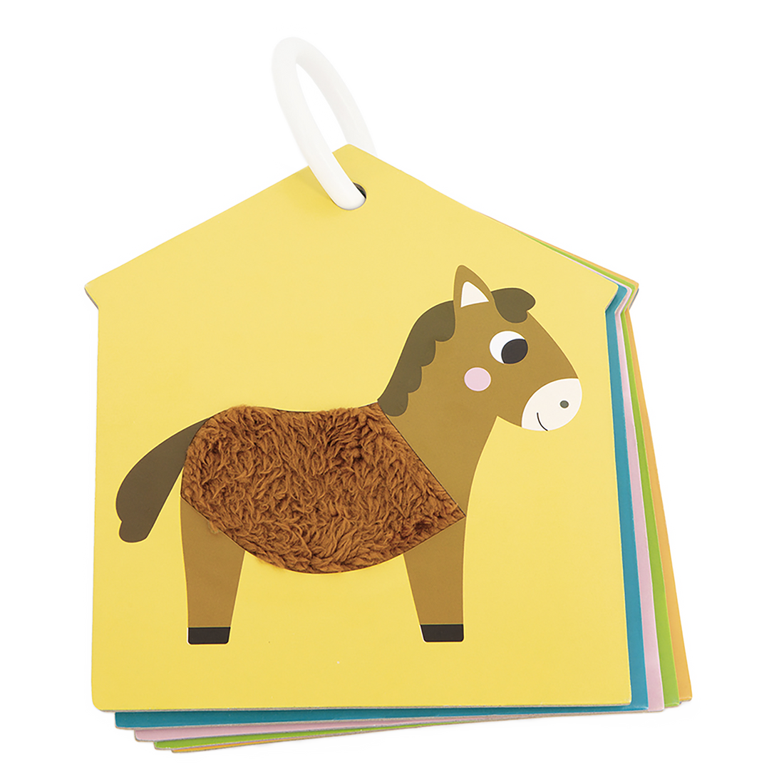ENSEMBLE DE CARTES TACTILES - FERME JANOD