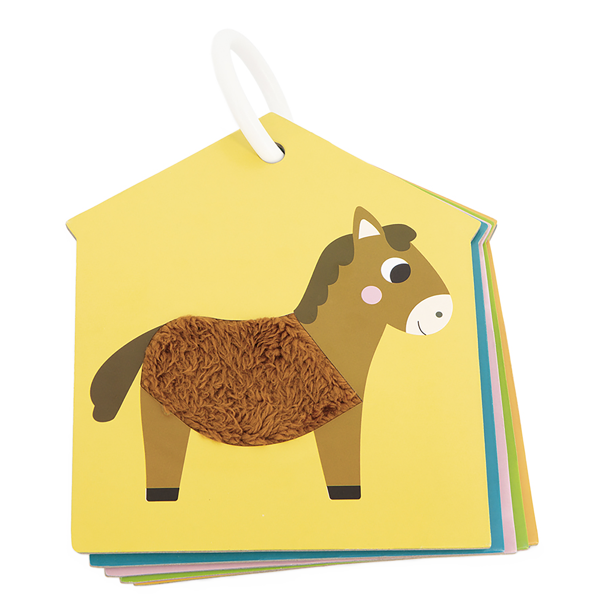 ENSEMBLE DE CARTES TACTILES - FERME JANOD