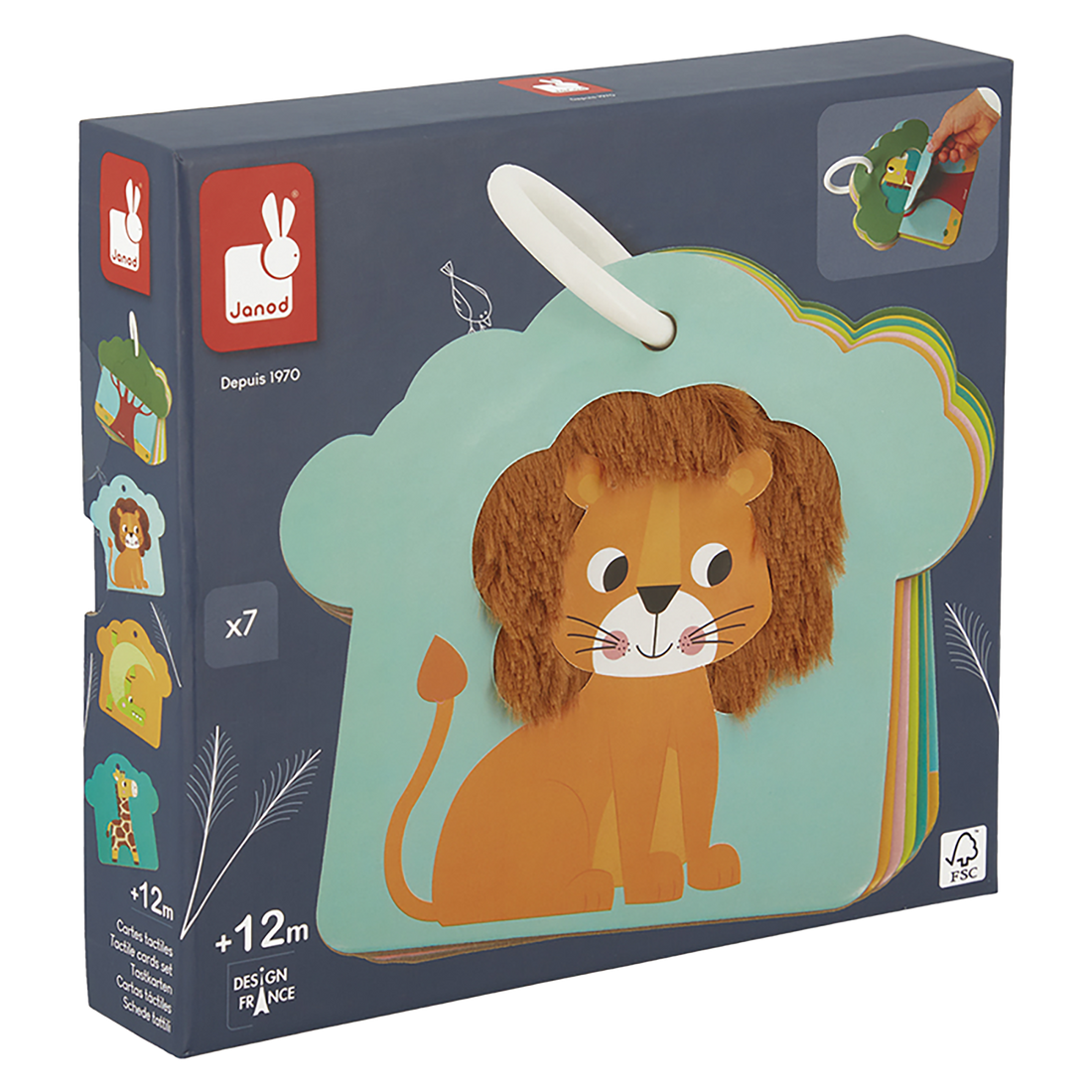 CARTES TACTILES - SAVANE JANOD