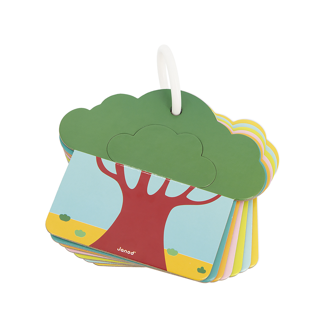 CARTES TACTILES - SAVANE JANOD