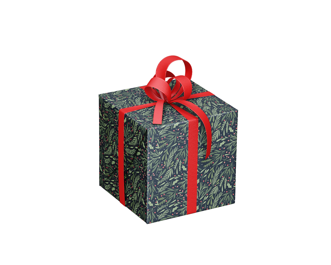 DISPLAY- EMBALLAGE ADULTE  NOËL (VENDU 36 UNITÉS / 6 MODÈLES) PBI AUTRES