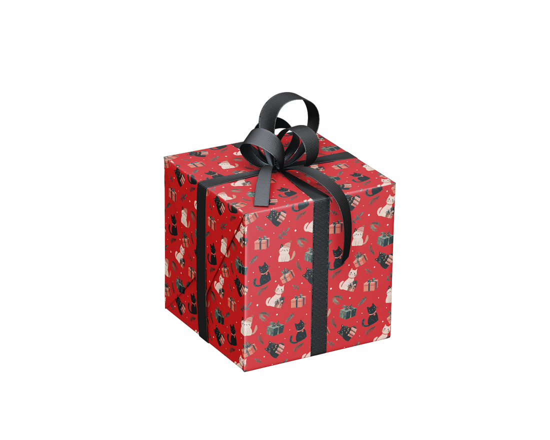 DISPLAY- EMBALLAGE ADULTE  NOËL (VENDU 36 UNITÉS / 6 MODÈLES) PBI AUTRES