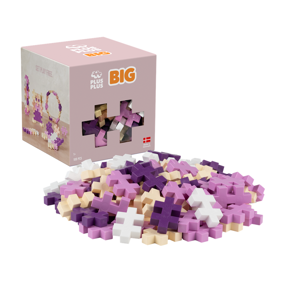 BIG - BLOOM - 100pcs PLUS PLUS