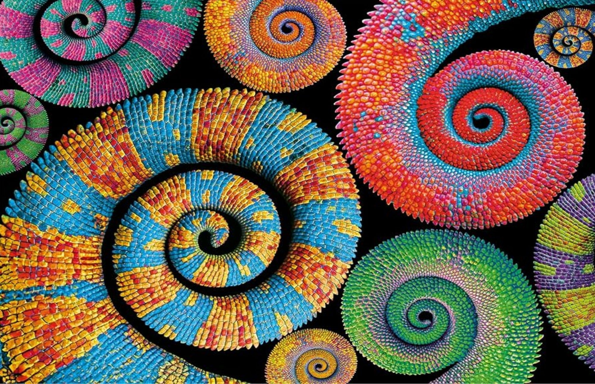PZ500: COLORBOOM: QUEUES SPIRALES CLEMENTONI PUZZLES