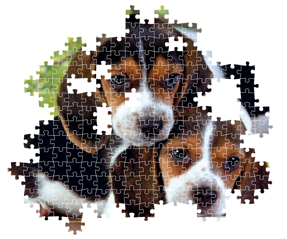 PZ500: COLLÉ ENSEMBLE CLEMENTONI PUZZLES
