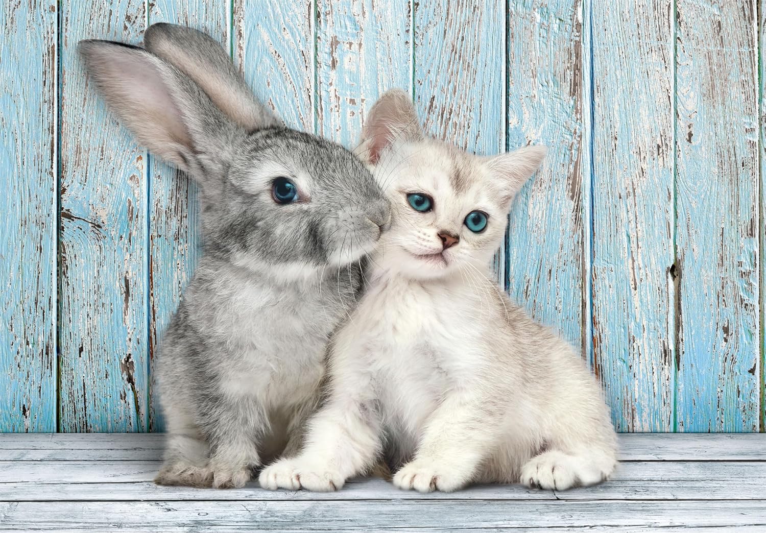 PZ500: CHAT ET LAPIN CLEMENTONI PUZZLES