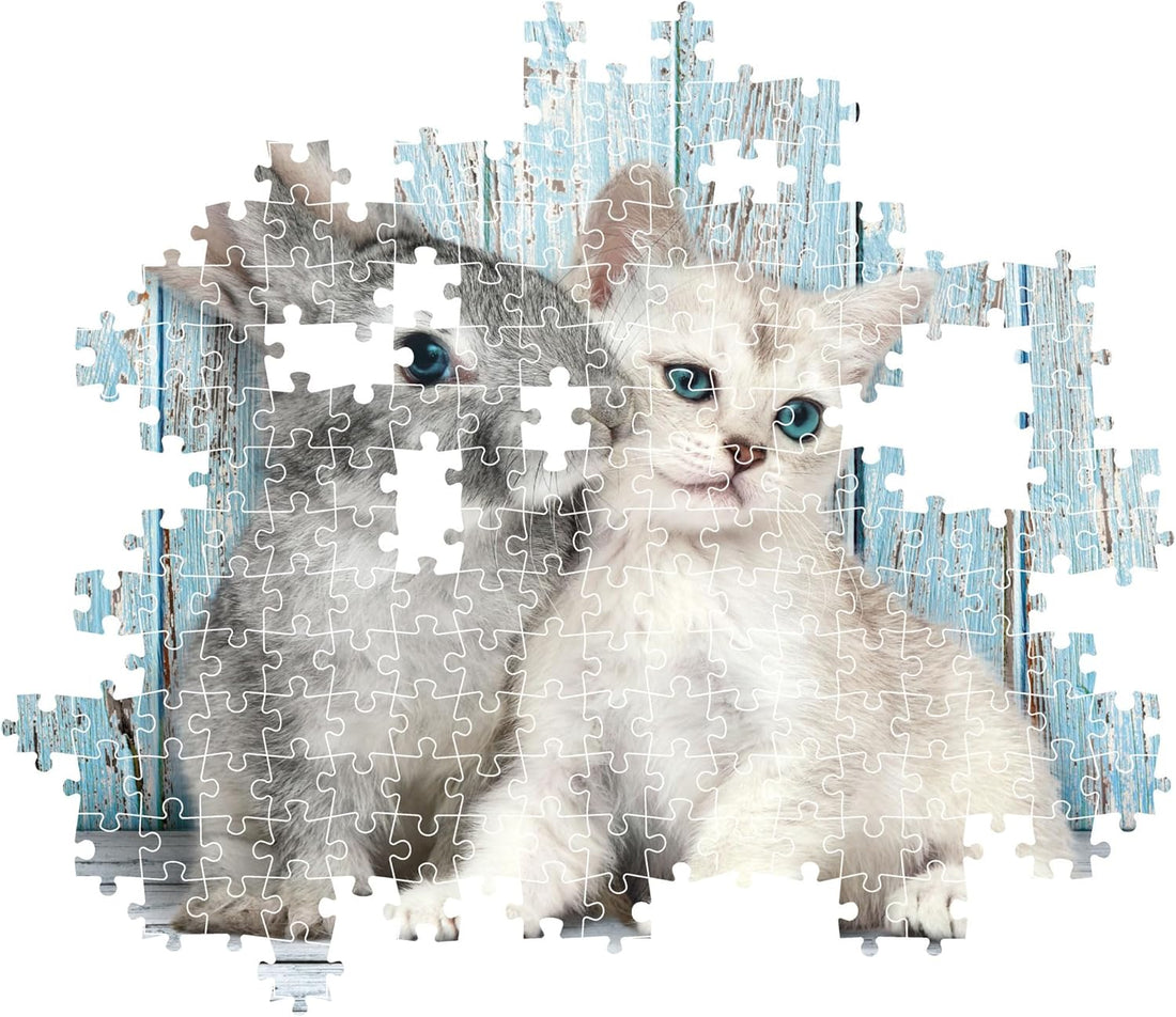 PZ500: CHAT ET LAPIN