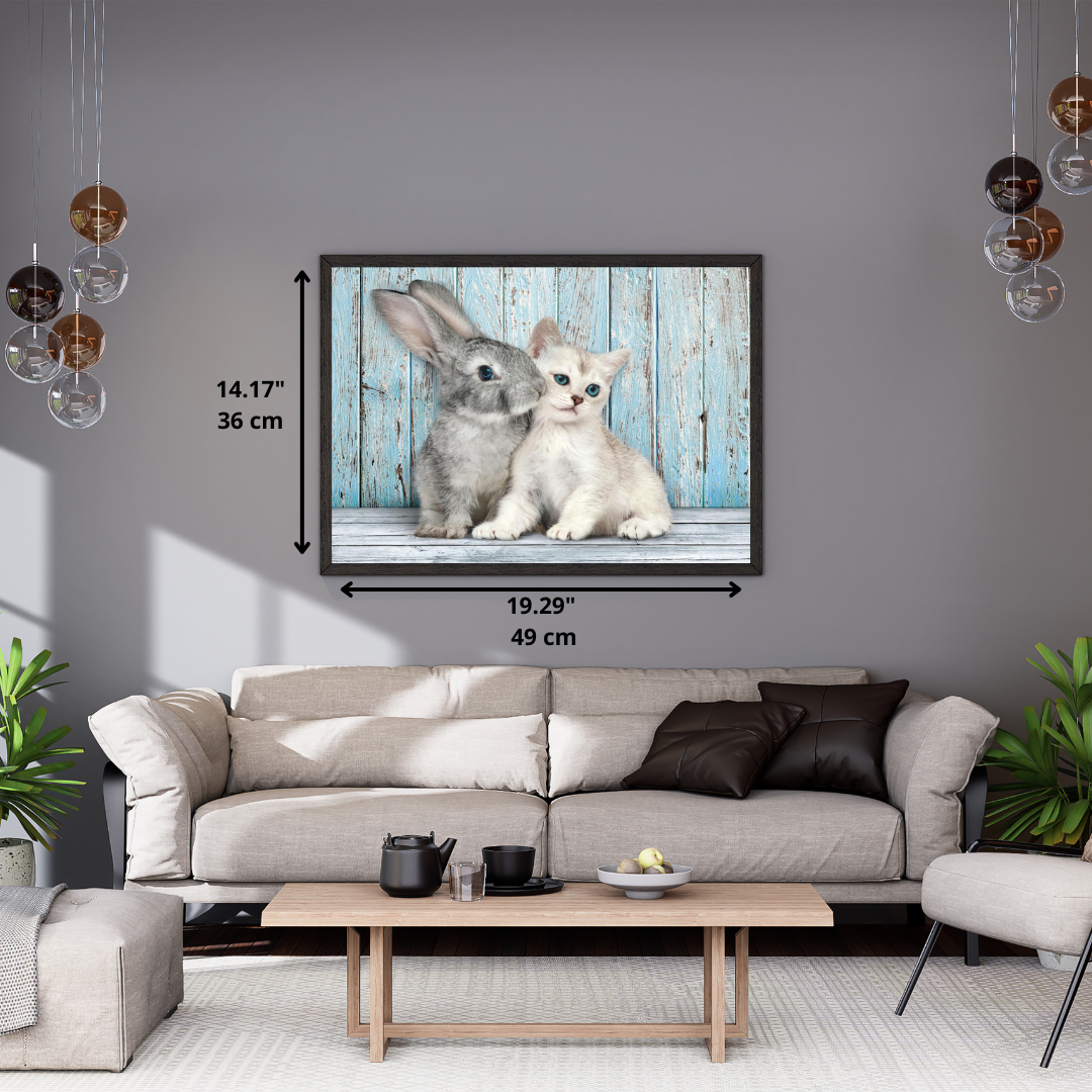PZ500: CHAT ET LAPIN