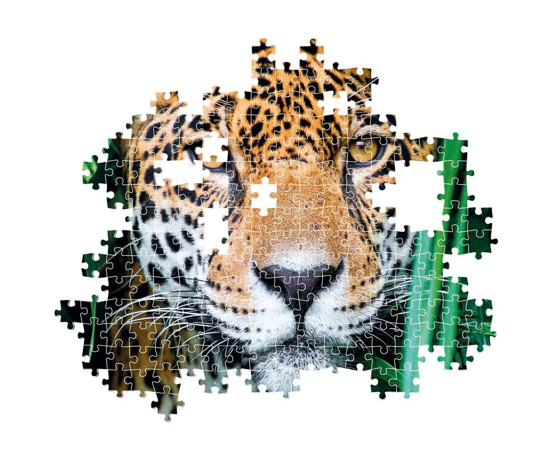 PZ500: JAGUAR DANS LA JUNGLE CLEMENTONI PUZZLES