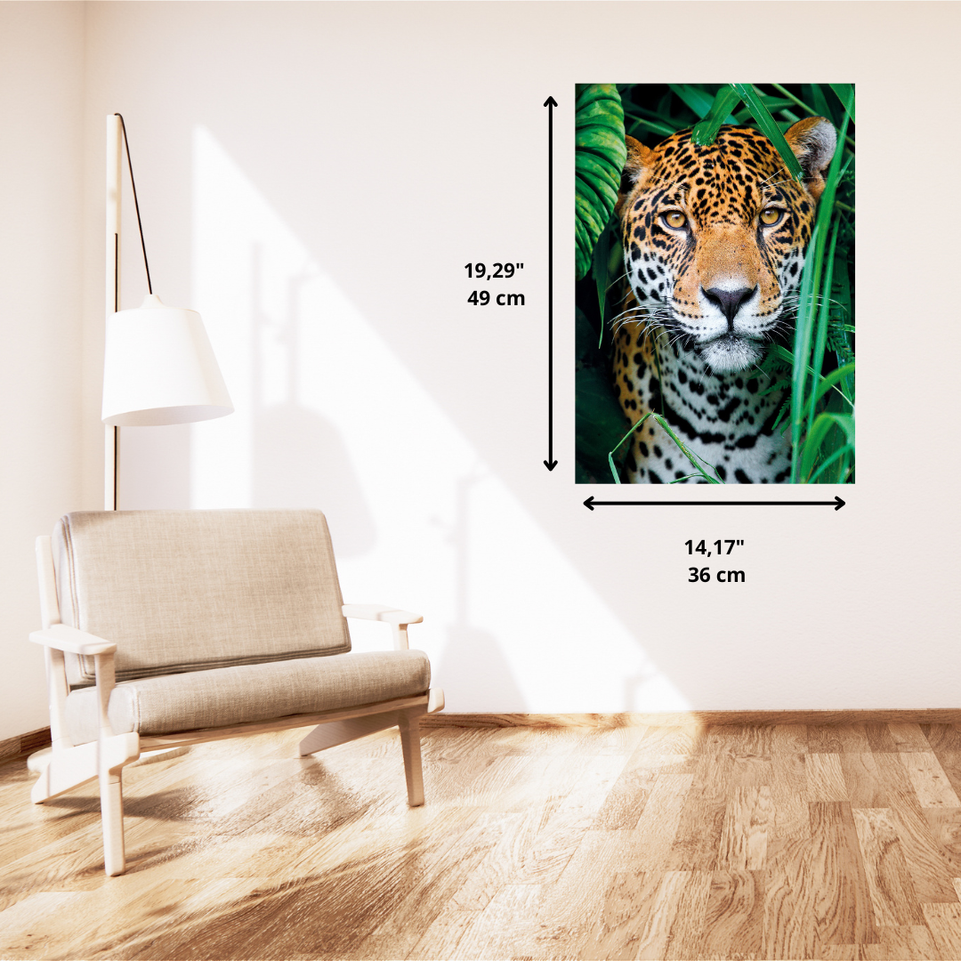 PZ500: JAGUAR DANS LA JUNGLE CLEMENTONI PUZZLES