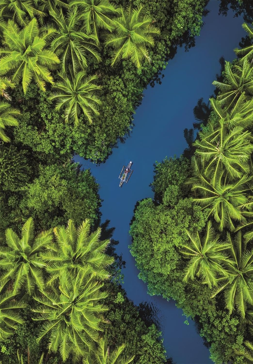 PZ500: VUE AÉRIENNE TROPICALE CLEMENTONI PUZZLES