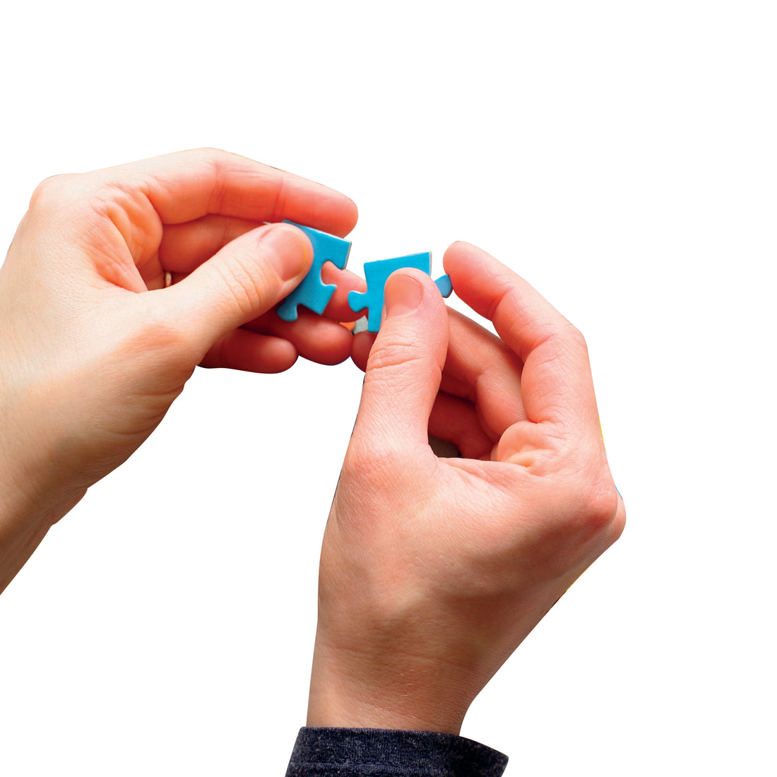 PZ500: FLUFFY KITTEN