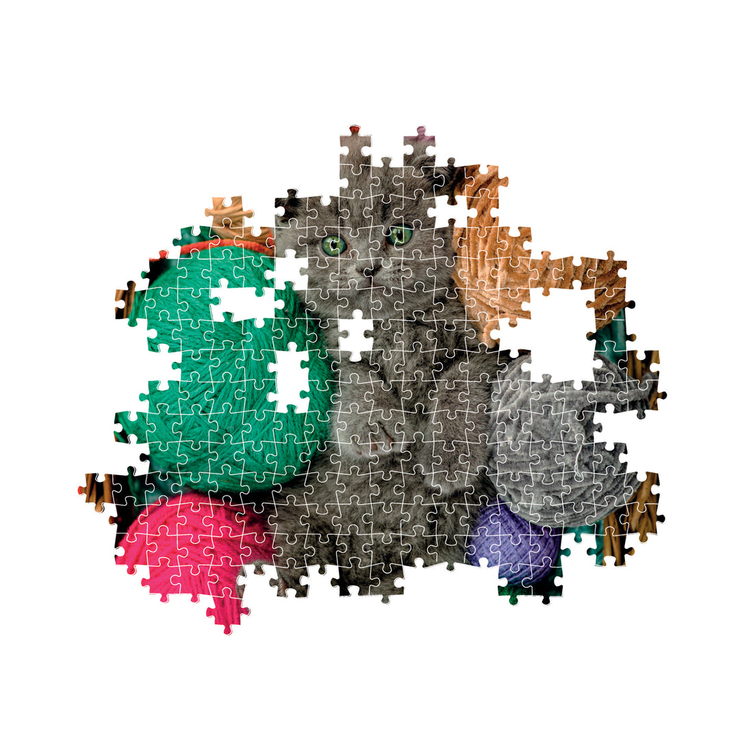 PZ500: FLUFFY KITTEN