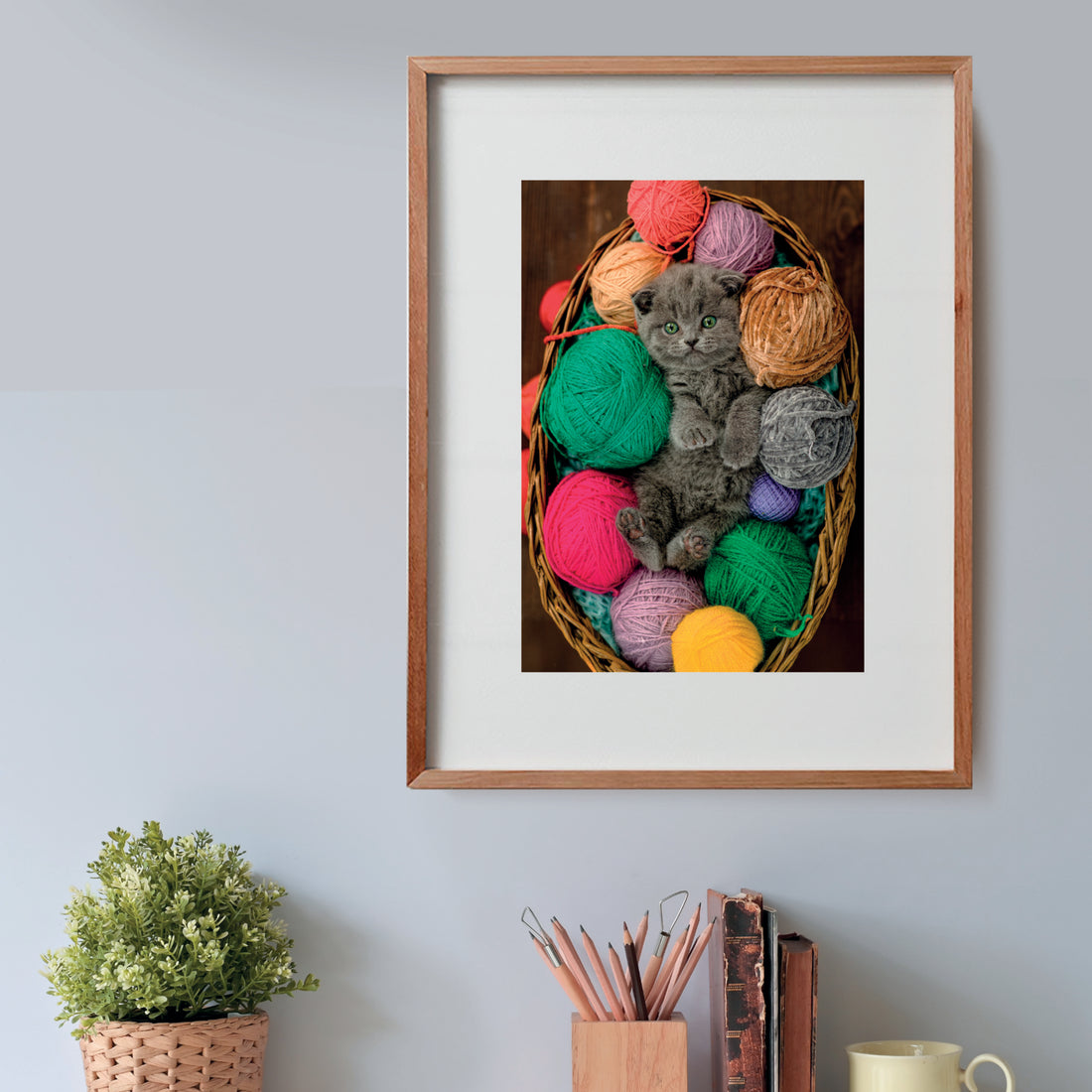 PZ500: FLUFFY KITTEN