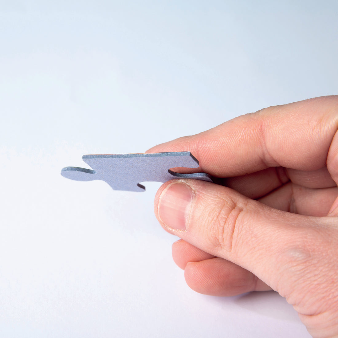 PZ1000: LIGHTS OF THE DANUBE