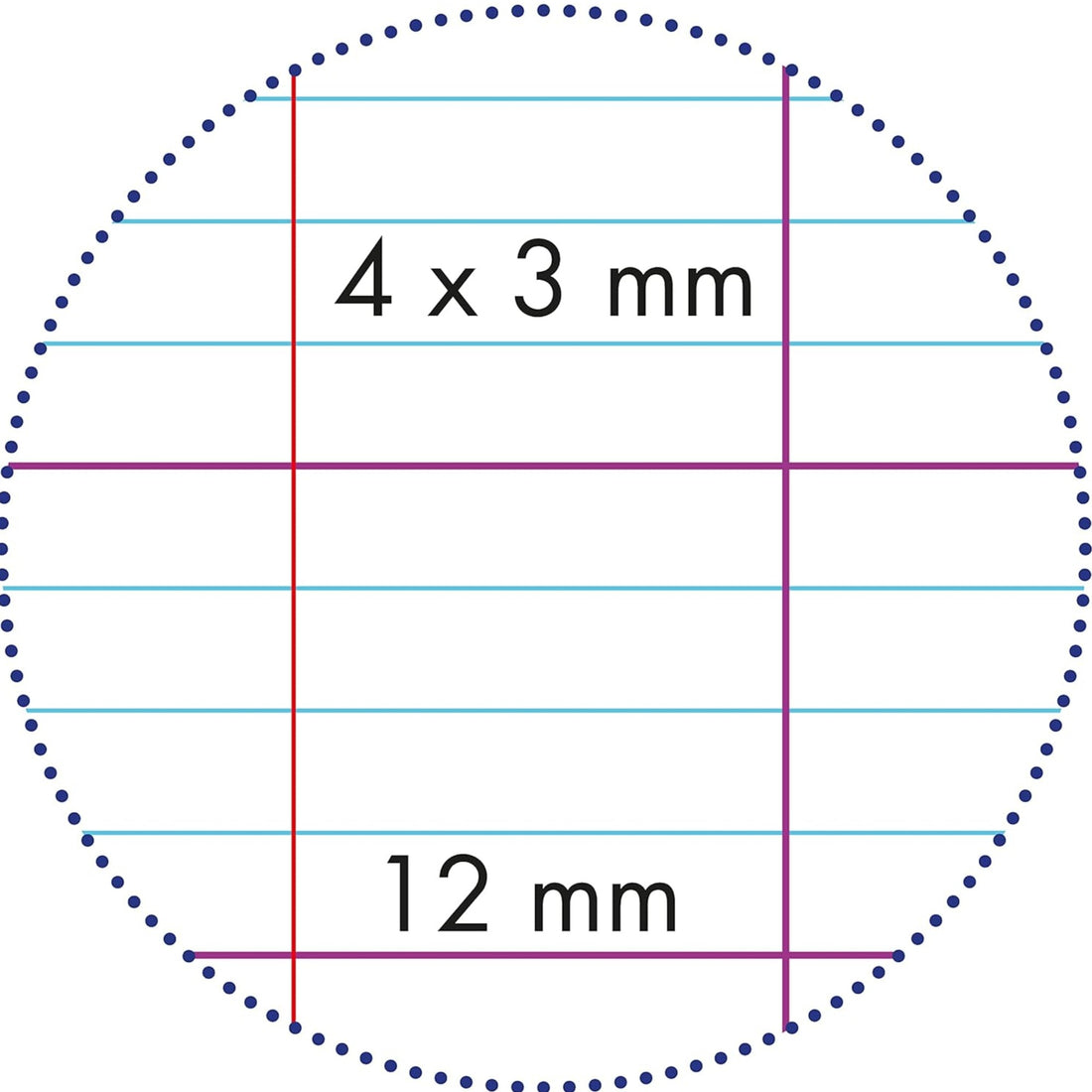 Notebook French Ruled 3 mm Assorted Stapled  32 pages (6,7 x 8,7 in)