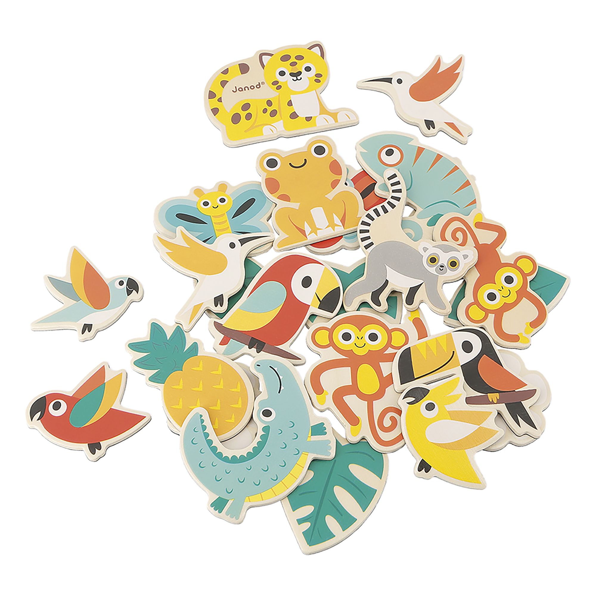 TROPIK - MAGNETS TROPICAUX 24 PCS JANOD