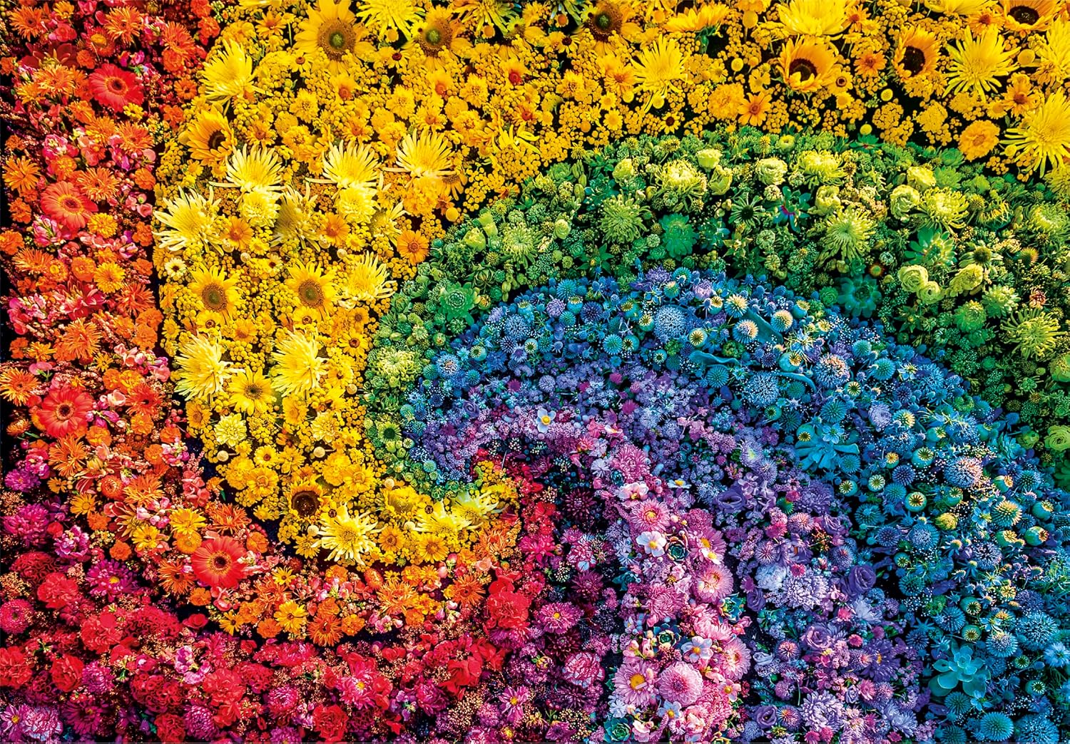 PZ1000: COLORBOOM: TOURBILLON CLEMENTONI PUZZLES