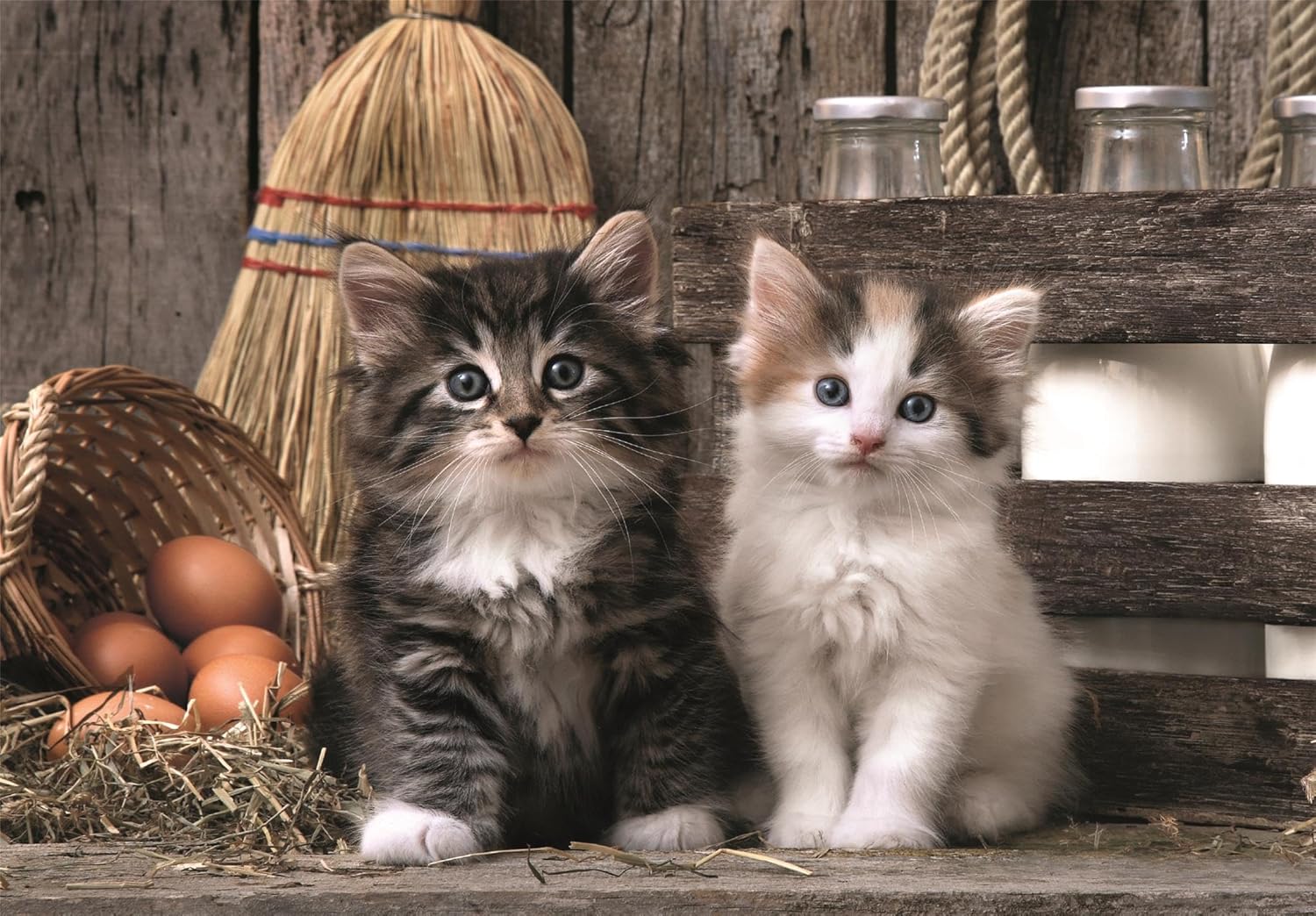 PZ1000: MIGNONS CHATONS CLEMENTONI PUZZLES