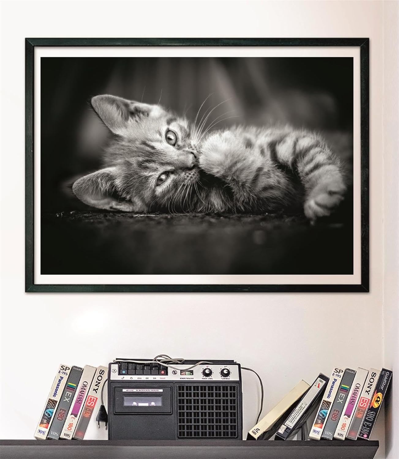 PZ1000: KITTY – Pierre Belvédère