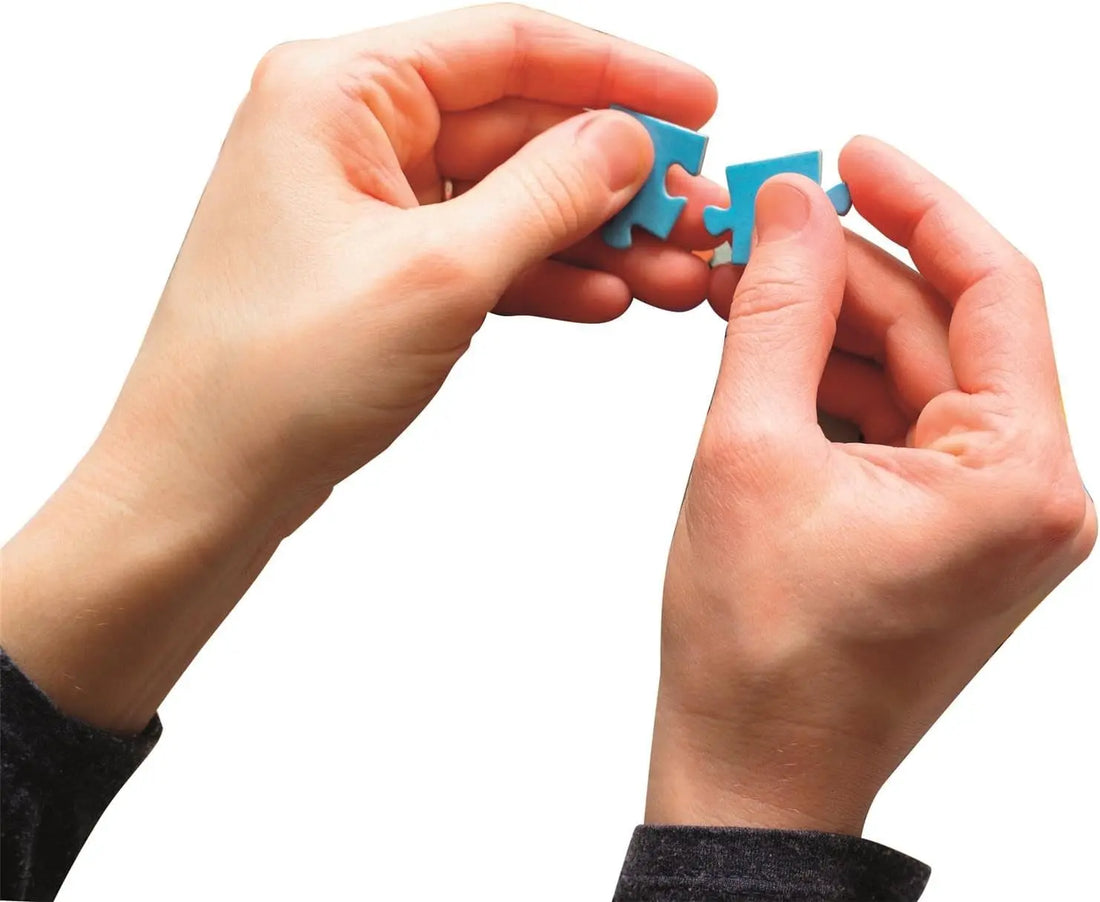 PZ1000: MORDILLO: LE SPECTACLE CLEMENTONI PUZZLES
