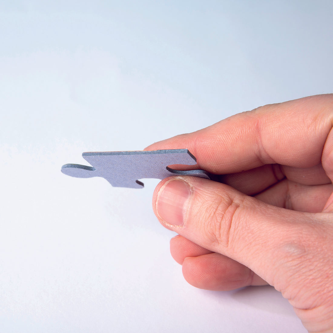 PZ1000: LUNE DE CARNAVAL CLEMENTONI PUZZLES