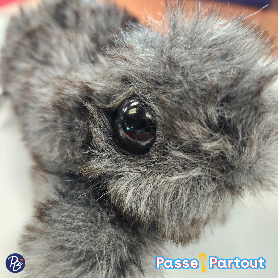 PELUCHE - BISCUIT DE CANELLE PASSE-PARTOUT