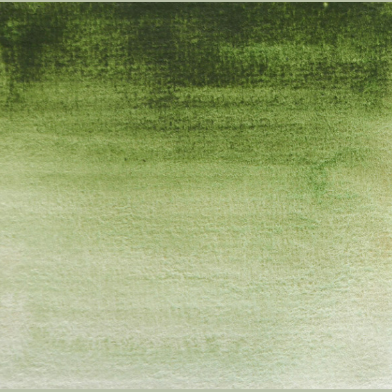 Aquarelle Vert de Hooker - Demi. BLOCKX
