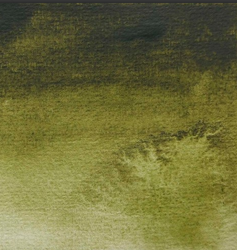 Aquarelle Vert Olive - Demi. BLOCKX