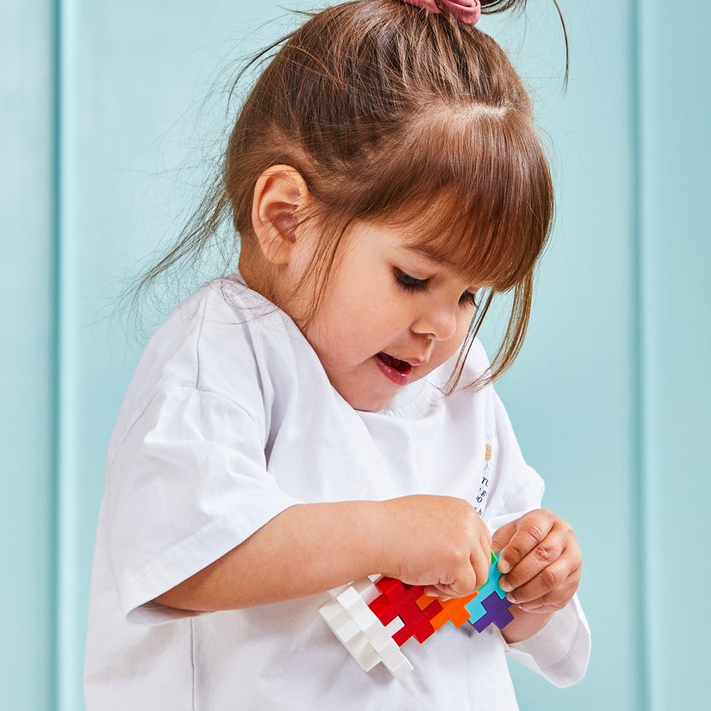 BIG - MÉLANGE ARC-EN-CIEL - 100pcs PLUS PLUS