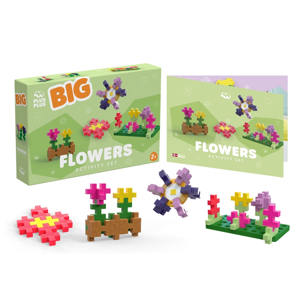 BIG - ACTIVITÉ  - FLEURS - 100pcs PLUS PLUS