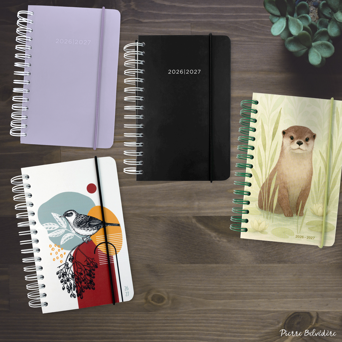 ACADEMIC AGENDA 2026-2027- SMALL 1D/1P- OTTER