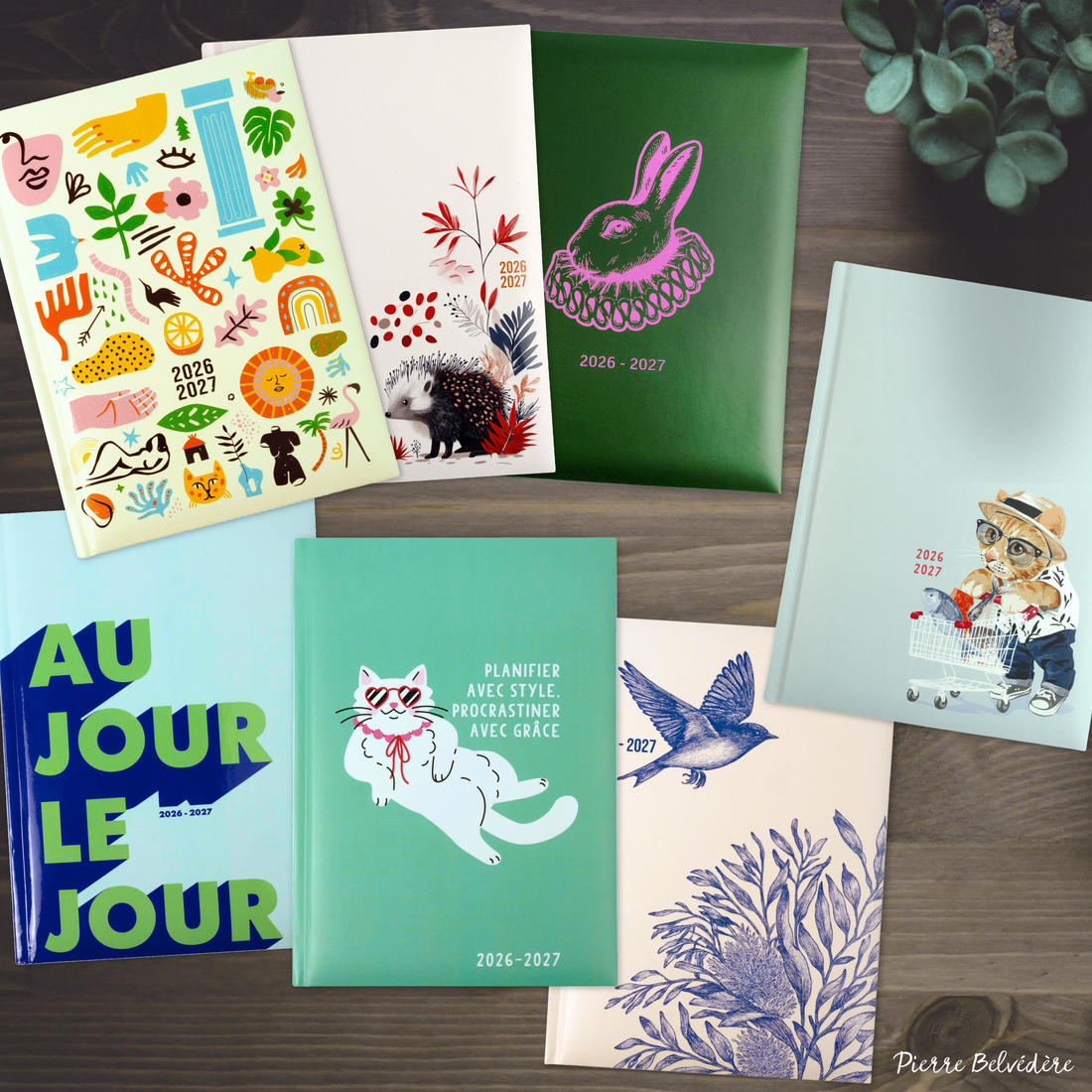 ACADEMIC AGENDA 2026-2027- MEDIUM 1W/2P- CHIC CAT