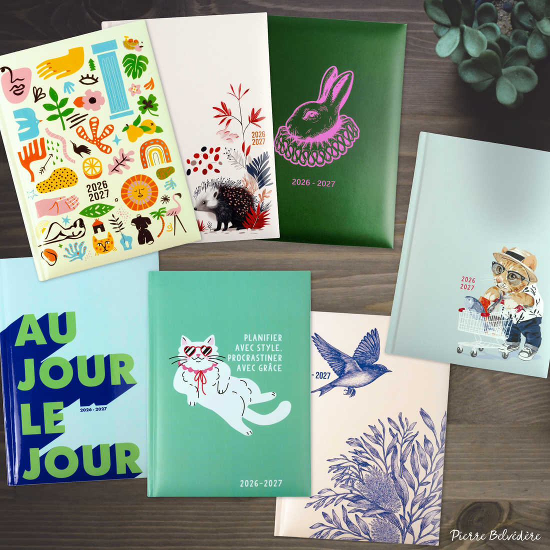 AGENDA ACADÉMIQUE 2026-2027- MOYEN 1S/2P- STUDIO