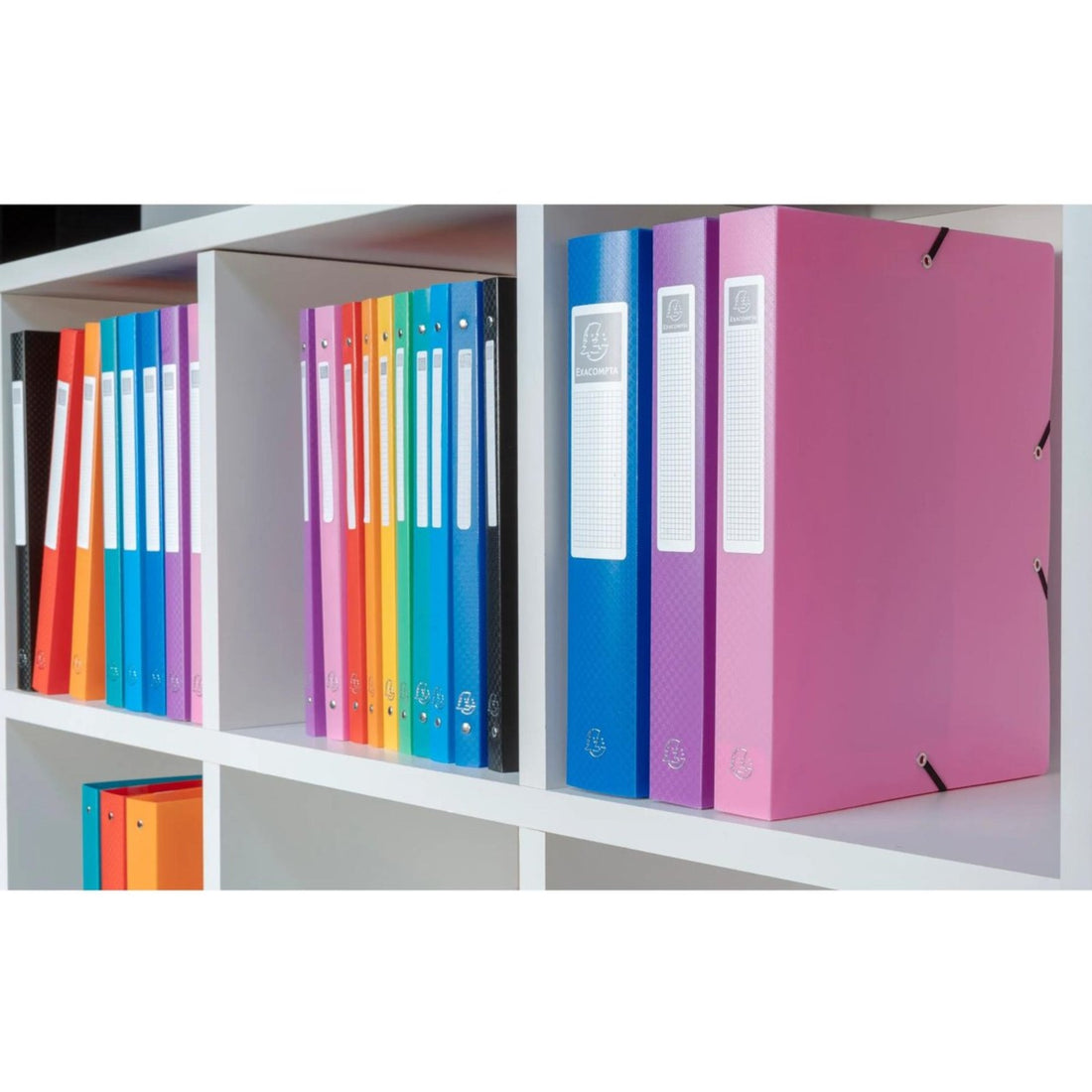 Carte souple Exabox  assorties (24x32cm)