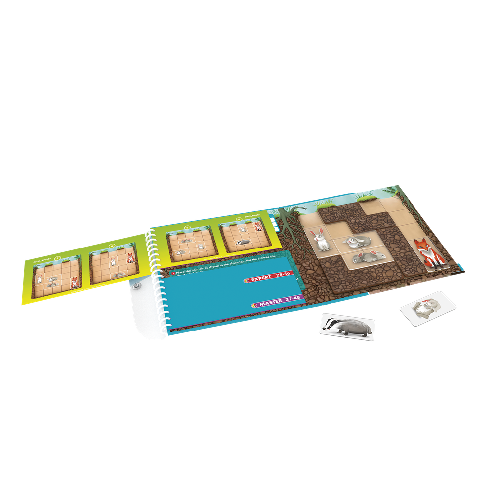 DOWN THE RABBIT HOLE (VENDUS 8 UNITÉS) SMART GAMES