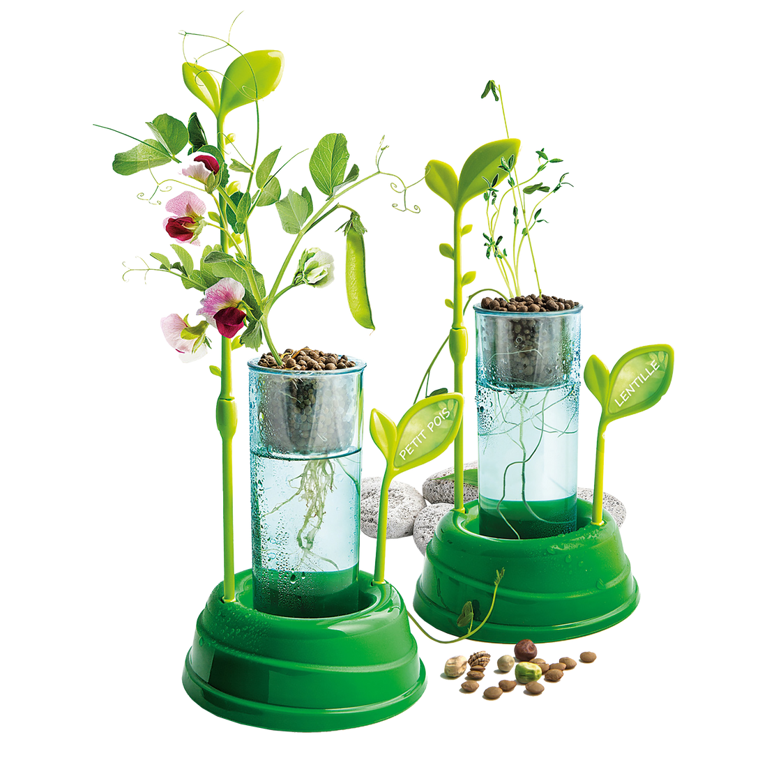 BOTANIQUE & HYDROPONIE CLEMENTONI