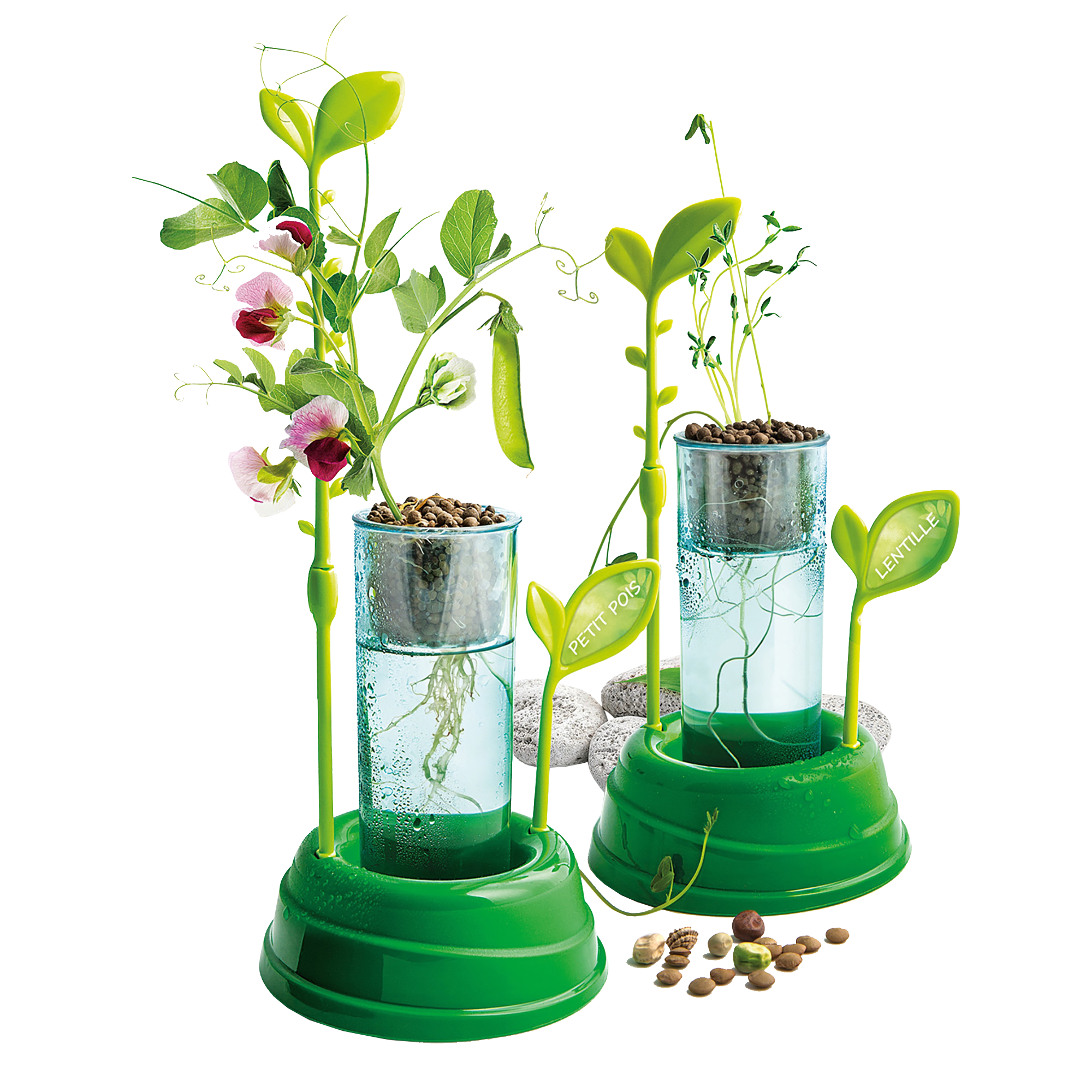 BOTANIQUE & HYDROPONIE CLEMENTONI