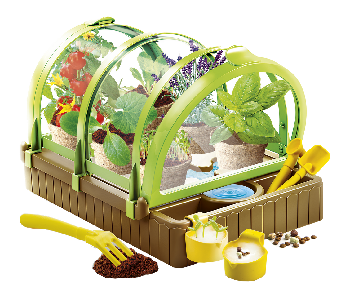 MON JARDIN SOUS SERRE CLEMENTONI