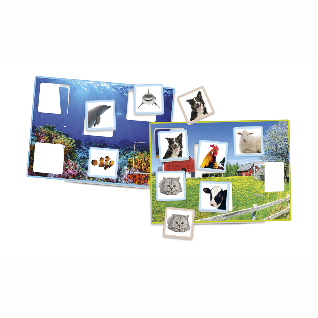 EDUCATION- OÙ VIVENT-ILS CLEMENTONI