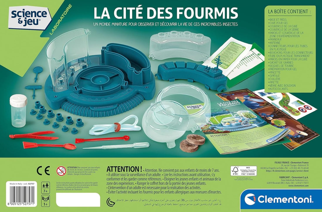 SCIENCE & JEU: LA CITÉ DES FOURMIS