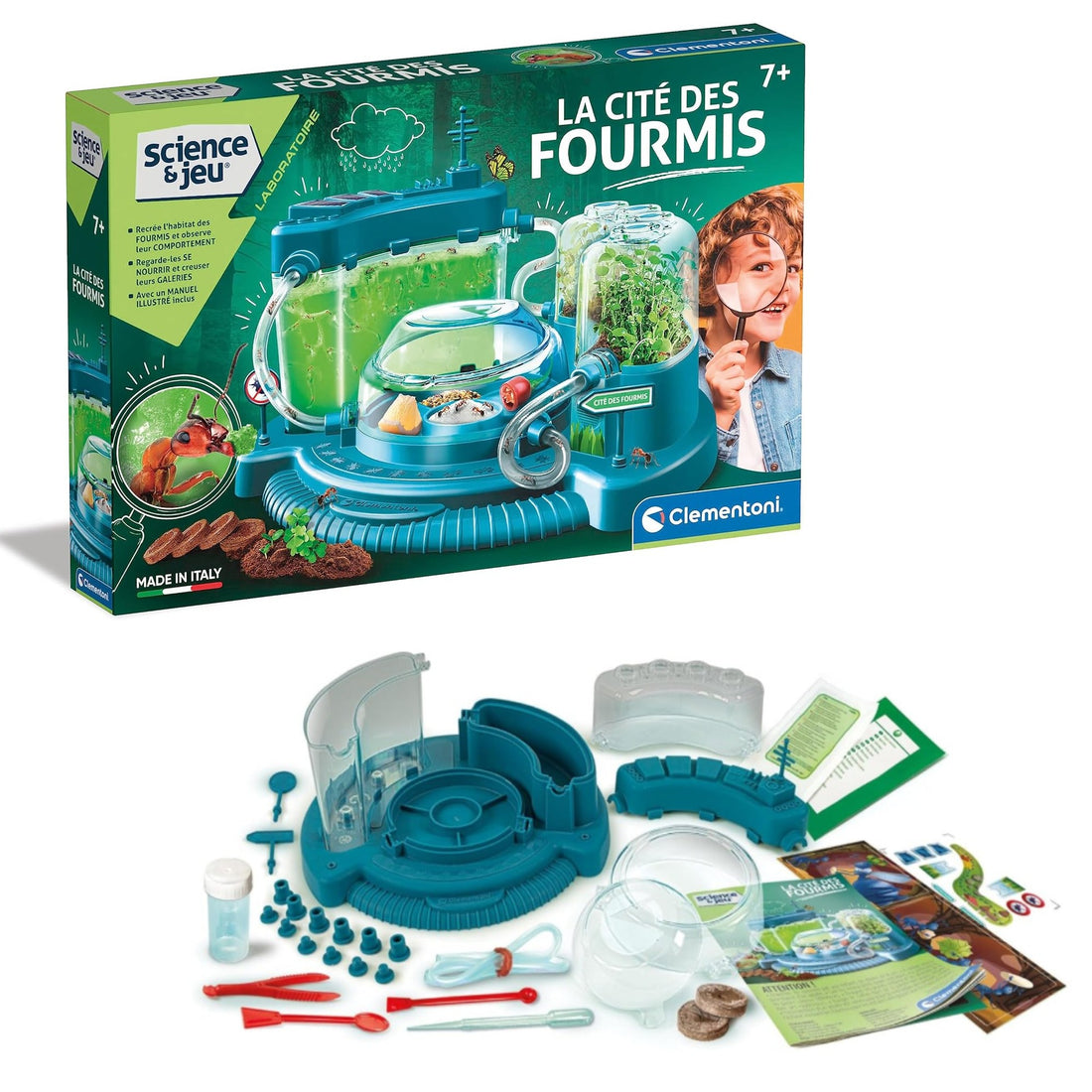 SCIENCE & JEU: LA CITÉ DES FOURMIS