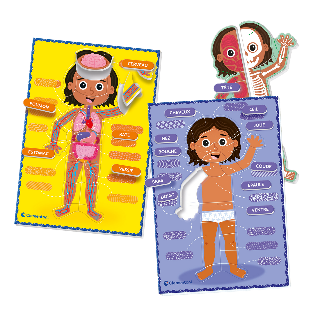 EDUCATION: MONTESSORI - LE CORPS HUMAIN CLEMENTONI