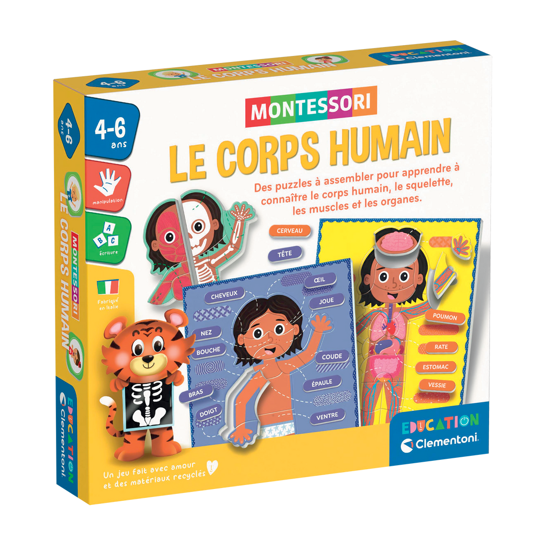 EDUCATION: MONTESSORI - LE CORPS HUMAIN CLEMENTONI