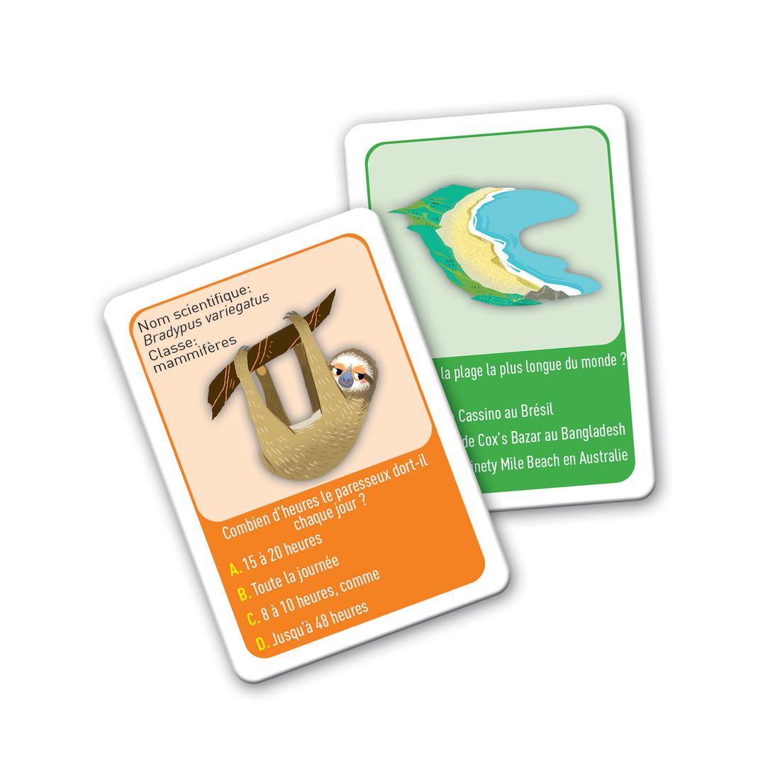 EDUCATION: À LA DÉCOUVERTE DU MONDE CLEMENTONI