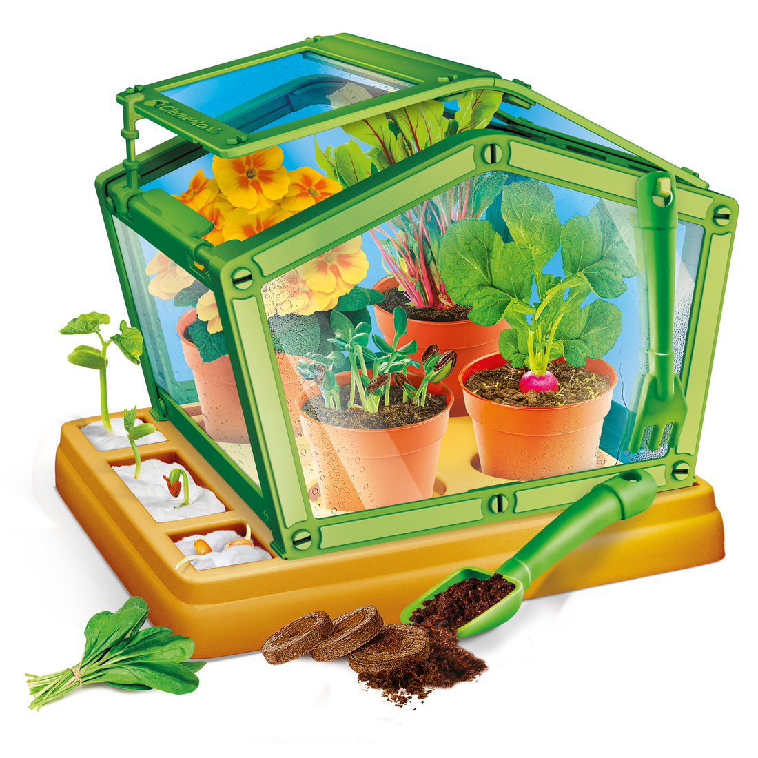 SCIENCE & JEU: MA PREMIÈRE SERRE CLEMENTONI