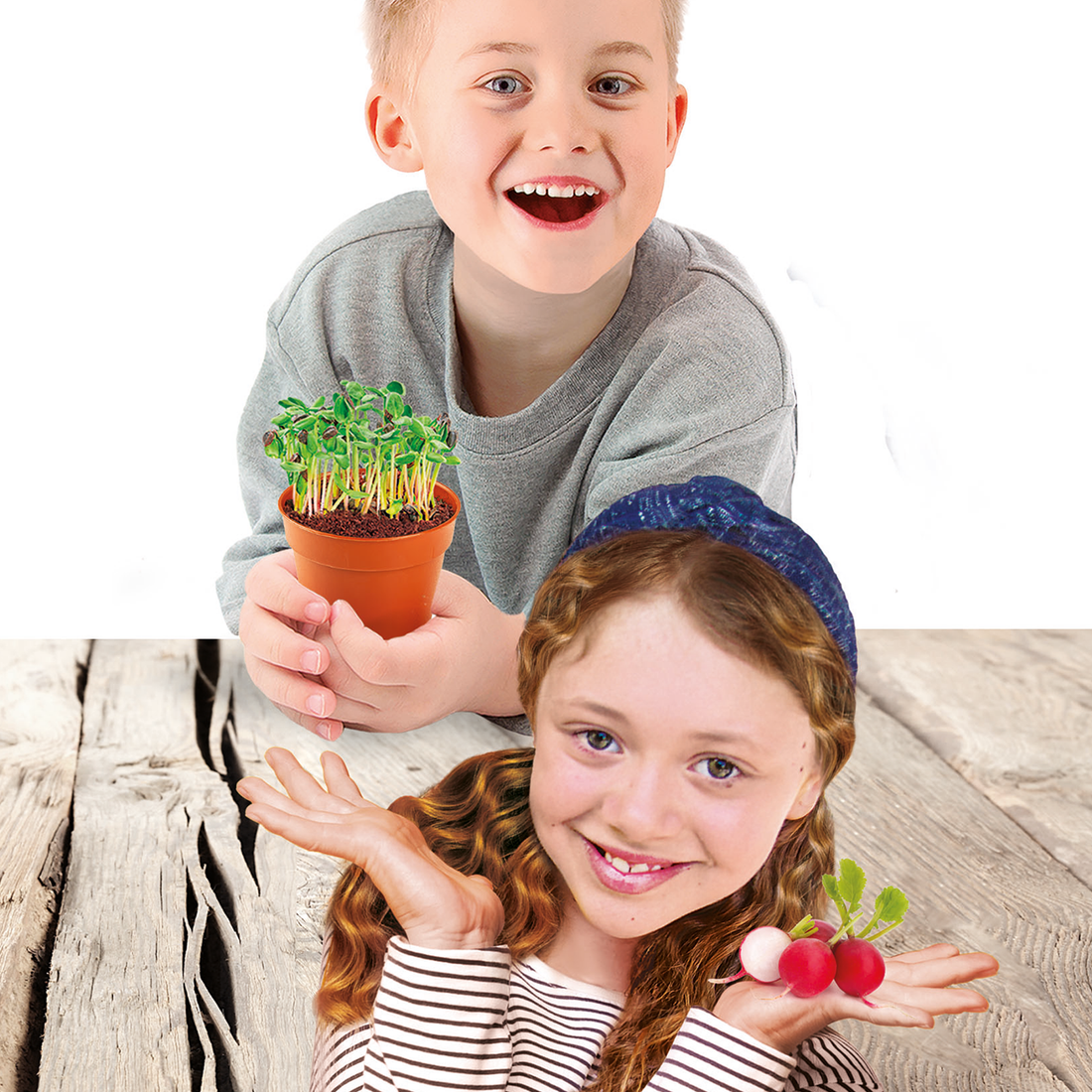 SCIENCE & JEU: MA PREMIÈRE SERRE CLEMENTONI