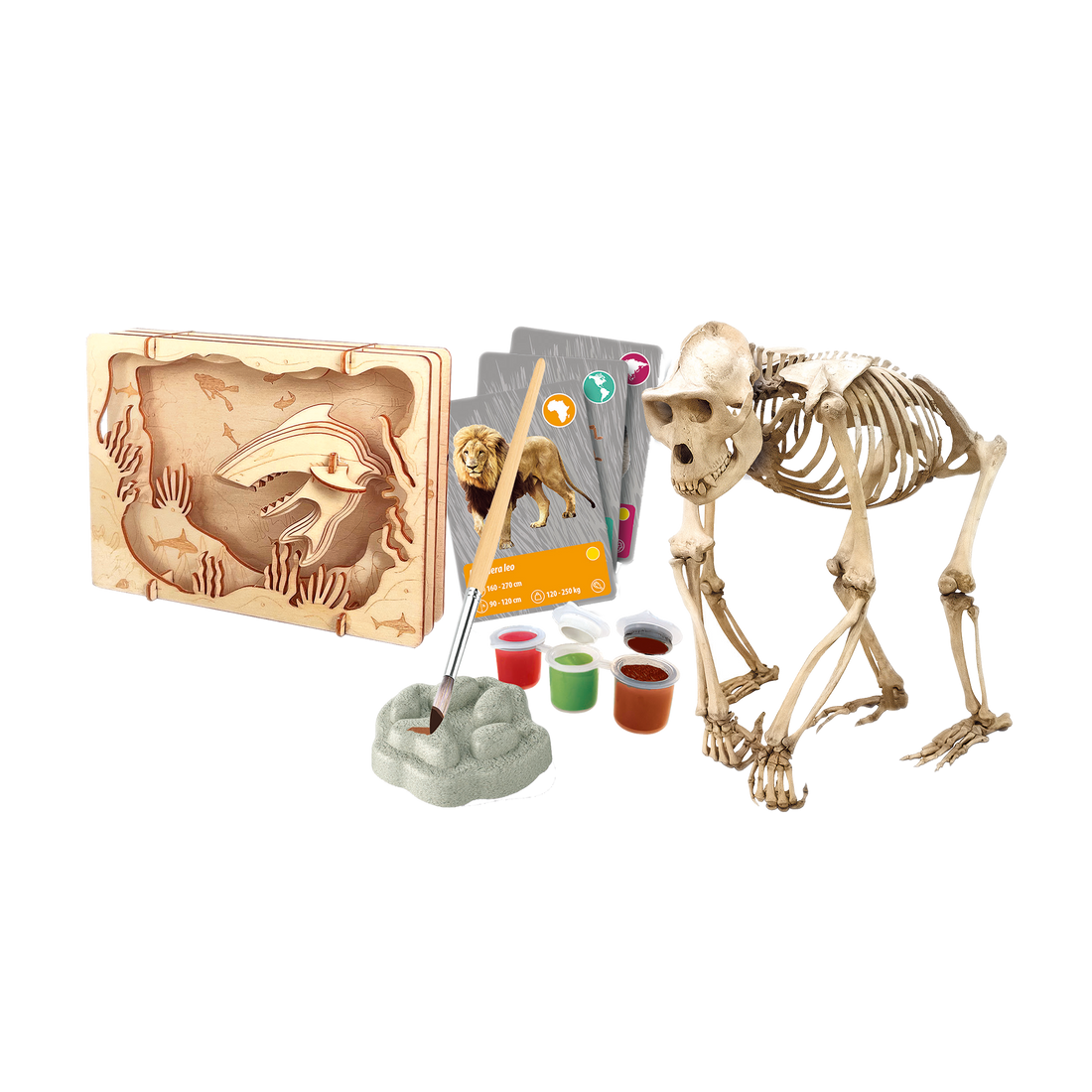 SCIENCE & JEU: LES ANIMAUX DE LA PLANÈTE TERRE - RÉALITÉ VIRTUELLE CLEMENTONI