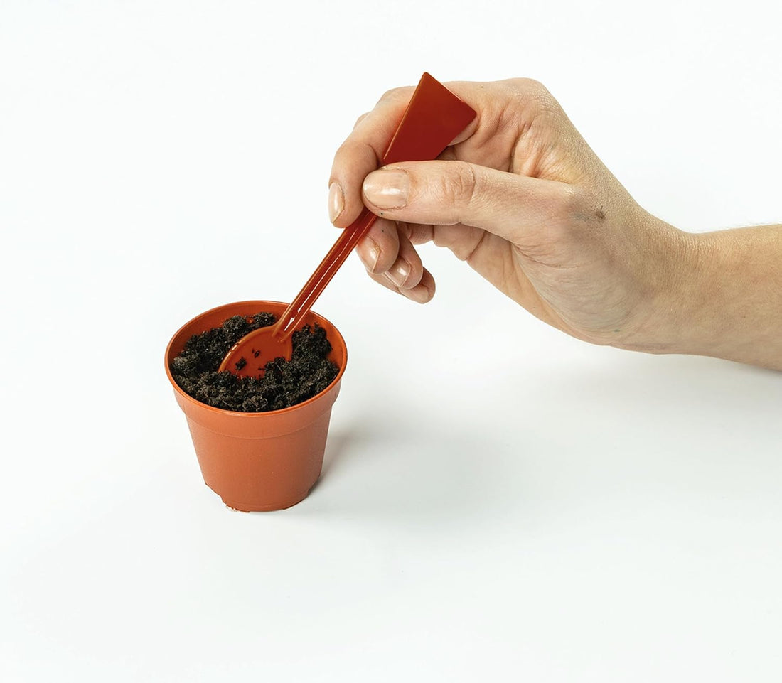 SCIENCE & JEU: MINI SERRE CLEMENTONI